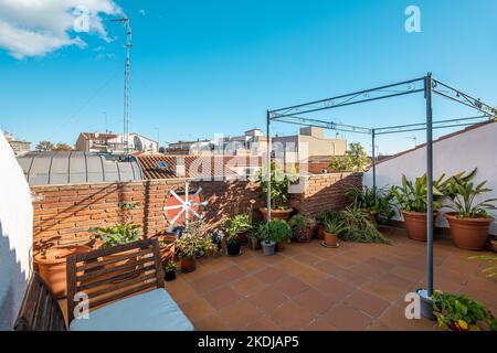 Terrasse bien exposée confortable avec petit canapé et beaucoup de pots de fleurs aux plantes. Concept de jardin à la maison. Banque D'Images