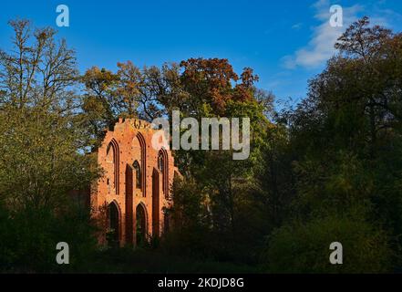 06 novembre 2022, Brandebourg, Boitzenburg : le soleil du matin brille sur les vestiges des ruines du monastère. A environ 20 kilomètres à l'ouest de Prenzlau et à environ 80 kilomètres au nord de Berlin se trouve le petit village Uckermark de Boitzenburg. Ici, jusqu'à la guerre de trente ans, il y avait le monastère Marienpforte des religieuses cisterciennes. Le monastère a probablement été fondé en 1271 par les margraves Johann II, Otto IV et Konrad von Brandenburg. Aujourd'hui, seuls les murs du bâtiment nous rappellent la beauté ancienne du monastère. Le monument est situé à la fin du village, juste derrière le monastère M. Banque D'Images