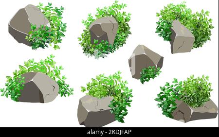 Galets côtiers,pavés,gravier,minéraux et formations géologiques.fragments de rochers,rochers.Collection de pierres de formes et de plantes diverses, pour Illustration de Vecteur