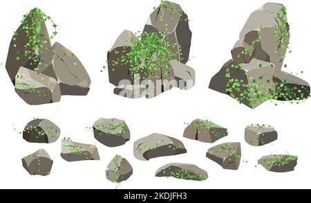 Galets côtiers,pavés,gravier,minéraux et formations géologiques.fragments de rochers,rochers.Collection de pierres de formes et de plantes diverses, pour Illustration de Vecteur