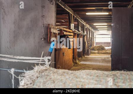 Intérieur de l'écurie dans l'élevage de chevaux à Florianka, Zwierzyniec, Roztocze, Pologne. Nettoyer le foin couché sur le sol. Buveur et stands pour chevaux . A Banque D'Images