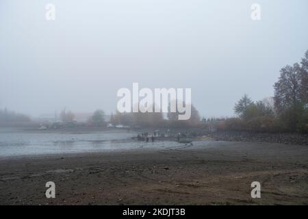 Les pêcheurs pêchent à l'extérieur de l'étang à Lipnik, dans la région de Vysocina, sur 28 octobre 2022. Les pêcheurs tchèques transportent des étangs de septembre à novembre pour récolter des carpes Banque D'Images
