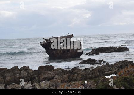 Epave solitaire mais pour les oiseaux à Agulhas Banque D'Images