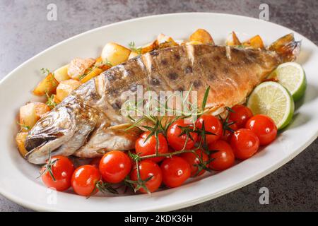 Poisson cuit Arctic Char avec des légumes et des herbes sur le plat blanc sur la table. Horizontale Banque D'Images