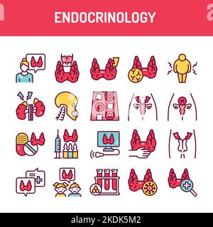 Jeu d'icônes de ligne de couleur Endocrinologie. Elément vectoriel isolé. Illustration de Vecteur