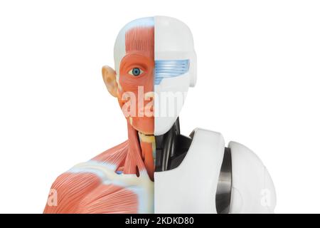 Concept d'un demi-homme demi robot cyborg personne Banque D'Images
