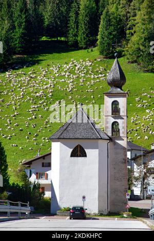 Des moutons se graissent sur la colline derrière l'église de Chesia di Santa Maria delle Grazie dans les Dolomites du nord de l'Italie. Banque D'Images