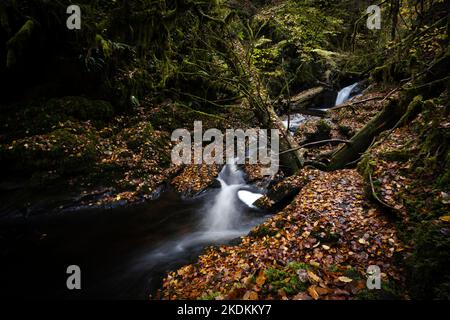 Moniack Burn à Reelig Glen, près d'Inverness Banque D'Images