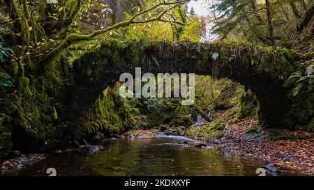 L'ancien pont à la tête de Reelig Glen, Inverness Banque D'Images