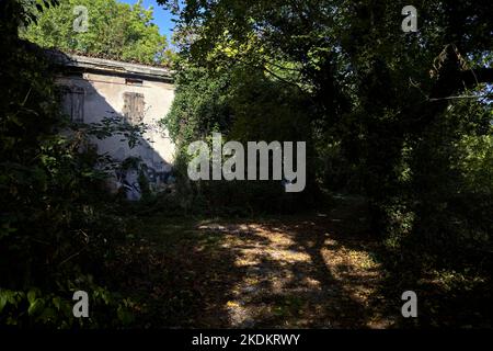 Bâtiment abandonné dans une forêt en automne Banque D'Images