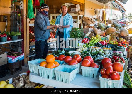 Immokalee Produce Centre, New Market Road West, Immokalee, Floride Banque D'Images