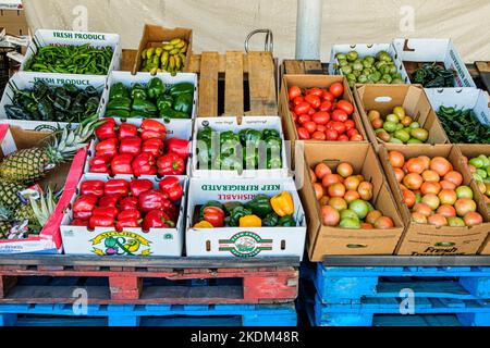 Immokalee Produce Centre, New Market Road West, Immokalee, Floride Banque D'Images