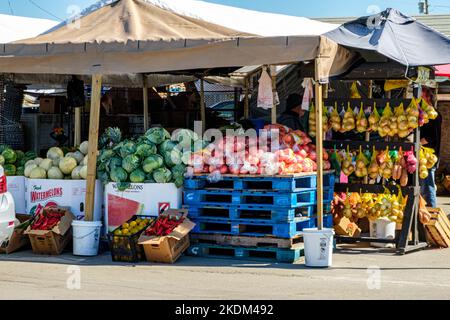 Immokalee Produce Centre, New Market Road West, Immokalee, Floride Banque D'Images