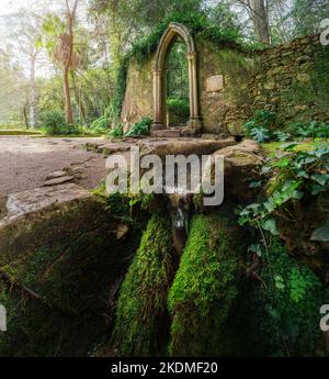 Fonte dos Amores (Fontaine d'Amour) au jardin Quinta das Lagrimas - Coimbra, Portugal Banque D'Images