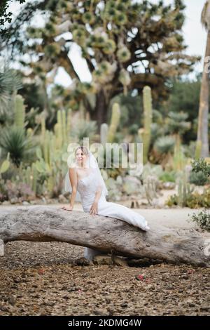 Mariée assise sur un grand arbre tombé dans le jardin de Cactus Banque D'Images