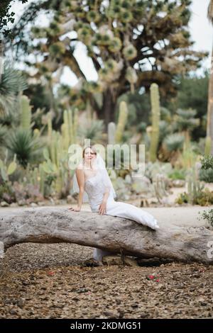 Mariée assise sur un grand arbre tombé dans le jardin de Cactus Banque D'Images