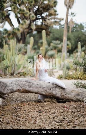 Mariée assise sur un grand arbre tombé dans le jardin de Cactus Banque D'Images