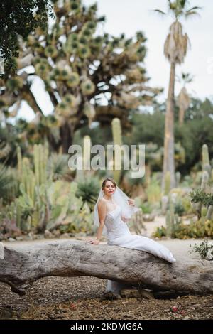 Mariée assise sur un grand arbre tombé dans le jardin de Cactus Banque D'Images