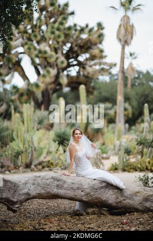 Mariée assise sur un grand arbre tombé dans le jardin de Cactus Banque D'Images