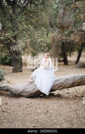 Mariée assise sur un grand arbre tombé dans le bosquet des chênes de Californie Banque D'Images