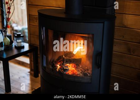Bois brûlé dans une cheminée moderne noire avec une chambre de combustion fermée dans le salon. Banque D'Images