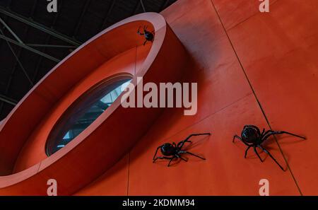 Une photo d'une installation d'art avec des araignées noires exposées au centre artistique de NDSM. Banque D'Images