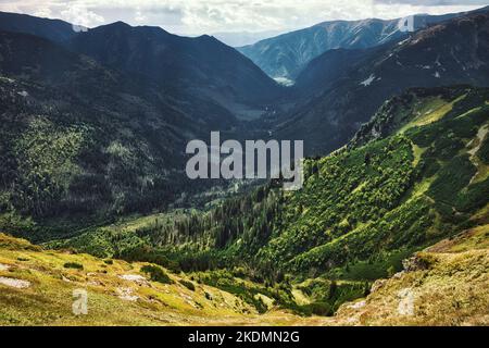 Rayons de soleil qui brillent à travers les nuages sur la forêt à feuilles persistantes de la vallée de Tatra, dans le parc national de Tatra, en Pologne et en Slovaquie, près de la ville de Zakopane Banque D'Images