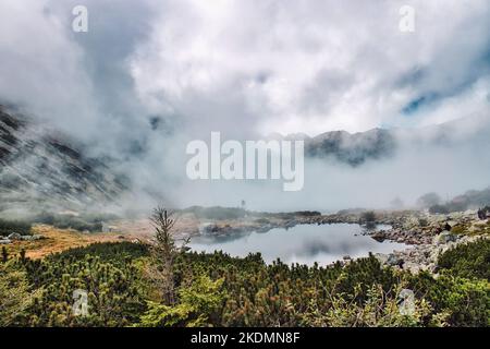 Lac de montagne calme avec rive rocheuse entouré par la chaîne de haute montagne dans la vallée du lac Tatras 5 avec des pins nains en premier plan près de la Pologne, Zakopane Banque D'Images
