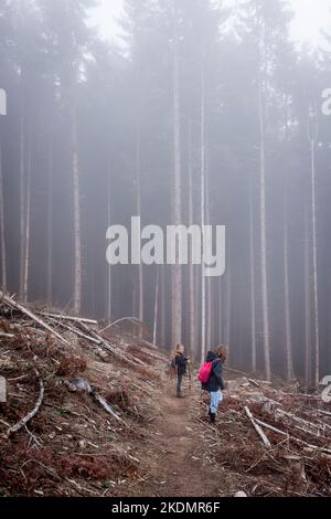 Deux enfants se tenant sur un sentier à travers une zone forestière brumeuse en automne dans les Vosges, Alsace, France. Banque D'Images