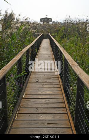 Réserve naturelle de Hula - promenade, Israël Banque D'Images