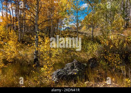 L'automne s'étend le long du sentier Marshall Lake Trail dans les Sawtooth Mountains de l'Idaho Banque D'Images