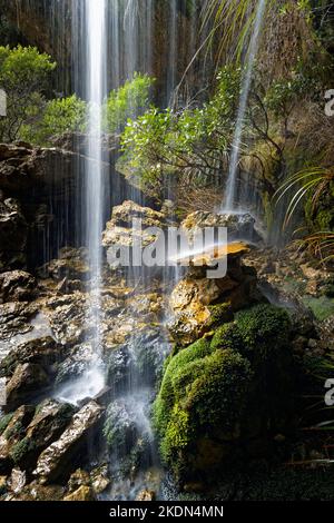 Cascade dans la forêt enchantée, Heaphy Track, parc national de Kahurangi, région de Tasman Nelson, île du sud, Aotearoa / Nouvelle-Zélande. Banque D'Images