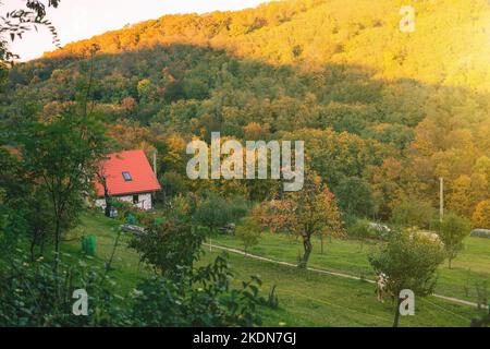 Maison sur la prairie verte entourée par la nature.Paysage rural en automne. Photo de haute qualité Banque D'Images