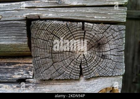 La fin d'une bûche dans une ancienne maison en bois en Estonie, en Europe du Nord Banque D'Images