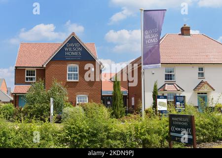 David Wilson Homes accueille un nouveau salon de développement à Penny court, Faversham, Kent, Angleterre, Royaume-Uni Banque D'Images