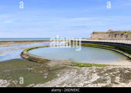 Bassin marécageux de Minnis Bay, Birchington on Sea, Kent, Angleterre, Royaume-Uni Banque D'Images