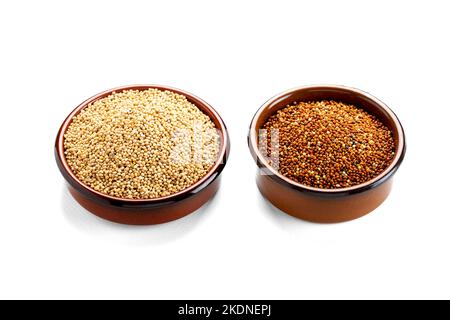 Céréales séchées aliments pour oiseaux. Millet rouge, millet jaune. Les millets sont un groupe très varié de petites herbes ensemencées, largement cultivées dans le monde entier comme céréales Banque D'Images