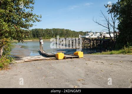 Port de plaisance de Captain's Cove à Delta, Colombie-Britannique, Canada Banque D'Images