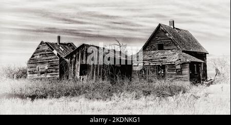Old Farmstead dans l'Oregon avec vue sur le Mont Jefferson Banque D'Images
