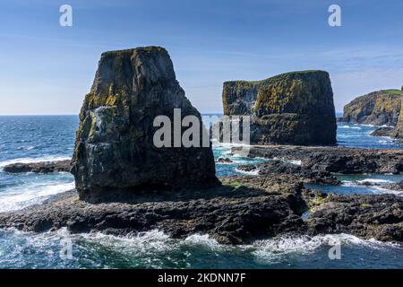 Les piles de la mer de Dùn Beag (à gauche) et de Dùn Mòr sur l'île de Sanday, en Écosse, au Royaume-Uni. Banque D'Images