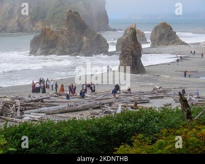 Ruby Beach, parc national olympique, Washington. Mariage sur la plage. Banque D'Images