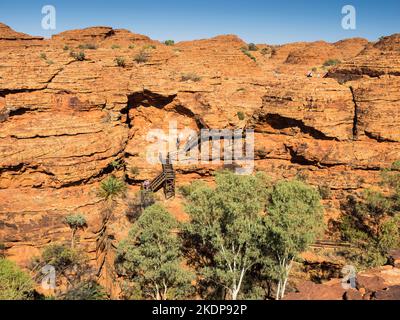 Escaliers accrochant au mur du canyon au-dessus des gommes fantômes (Corymbia aparrerinja), Rim Walk, Kings Canyon, parc national de Watarrka, Banque D'Images