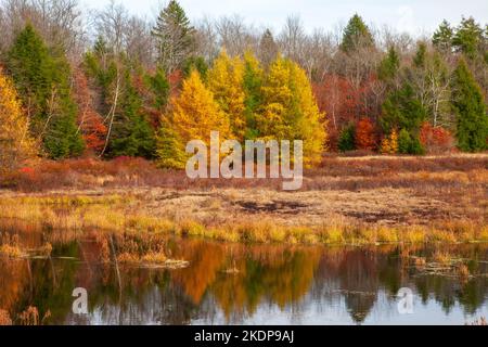 Upper Klondike Pond, avec sa sœur Lower Klondike Pond, sur les sources de la rivière Lehigh, dans les monts Pocono de Pennsylvanie, où importa Banque D'Images