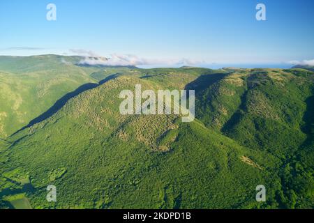 Forêt de montagne. Vue aérienne sur les collines verdoyantes. Banque D'Images