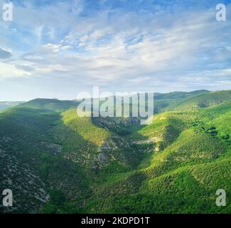 Forêt de montagne. Vue aérienne sur les collines verdoyantes. Banque D'Images