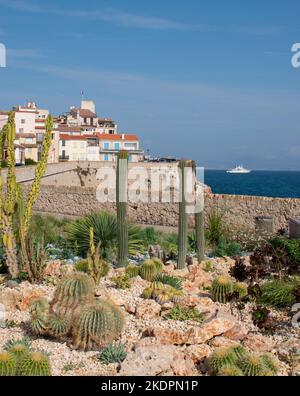 La vieille ville d'Antibes, Alpes-Maritimes, France Banque D'Images