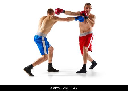 Deux frères jumeaux, boxeurs professionnels en bleu et rouge, boxe sportswear isolée sur fond blanc. Concept du sport, de la compétition, de l'entraînement Banque D'Images