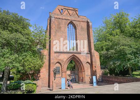 Ruine, Franziskaner-Klosterkirche, 132, Mitte, Berlin, Deutschland Banque D'Images