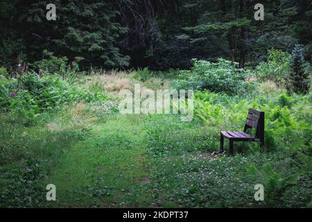 L'arboretum du jardin botanique de l'Université des sciences de la vie de Varsovie, dans le village de Rogow, en Pologne Banque D'Images