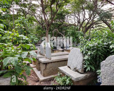 Une scène de cimetière tranquille avec des rangées de pierres tombales altérées sous des arbres verts. La lumière du soleil filtre à travers, projetant des ombres étouffées. Banque D'Images